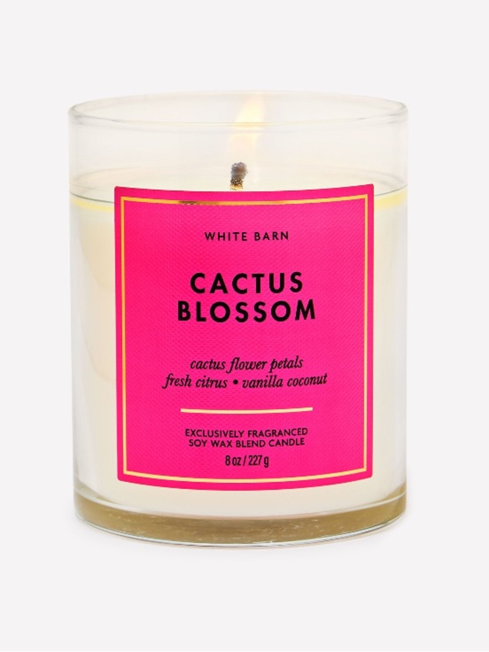 2/$20 ”CACTUS BLOSSOM” Single Wick Candle by B&BW / WB, 8 oz / 227 g, NWT